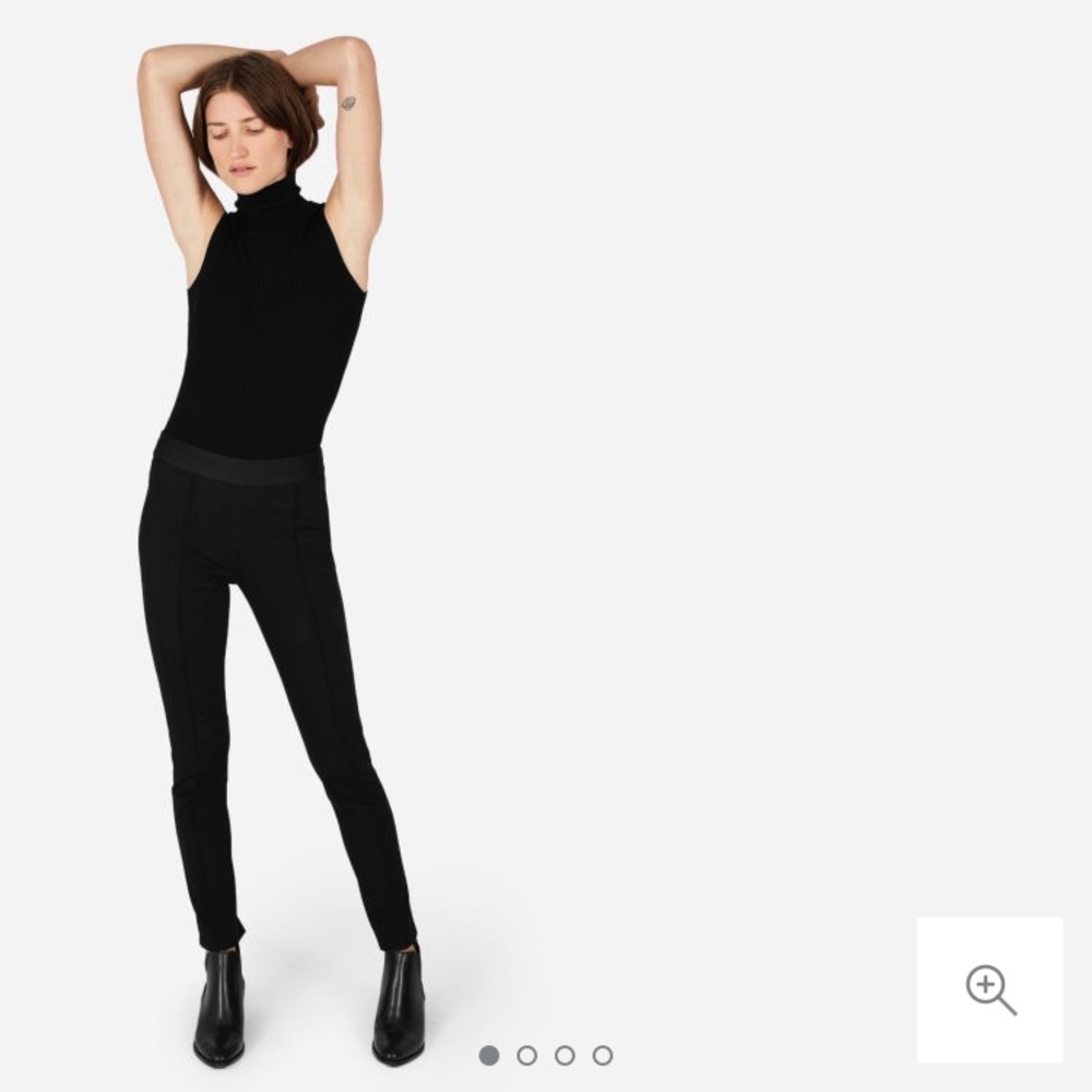 Everlane Stretch Ponte Skinny Pant